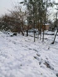 дом в новопокровке: Дача, 80 м², 3 комнаты, Собственник — 2