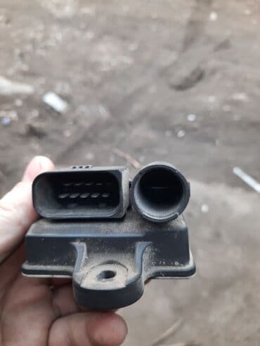 купить золотистый ретривер: Шамдар — 2