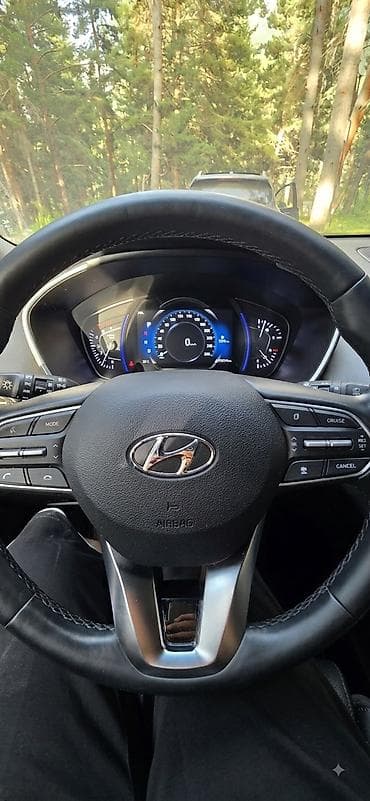 santa fe 2008: Hyundai Santa Fe: 2019 г., 2.2 л, Автомат, Дизель, Кроссовер — 9