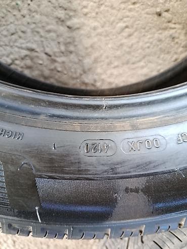 305 40 20: Шины 255 / 55 / R 20, Лето, Пара, Внедорожные (АТ/МТ), Michelin — 4