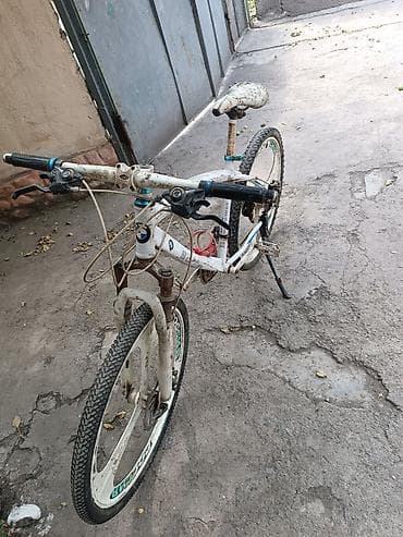 Велосипеды: Горный велосипед 26" Основные характеристики: - Рама: стальная — 1