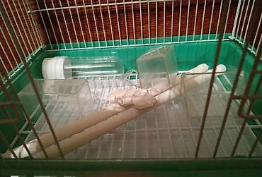 Зоотовары: Клетка среднего размера новая 40/33/26, есть кормушка поилка, 900с — 2