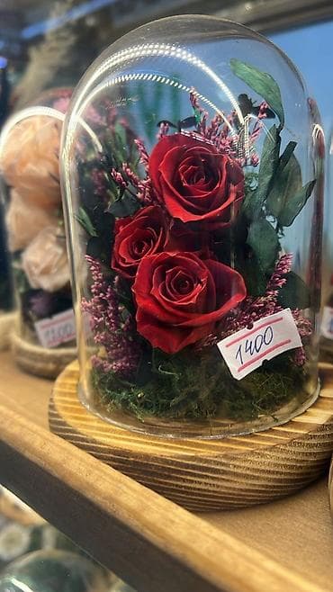 сплав розе: Подарок - живые розы которые не завянут даже через год!!! Роза в — 7