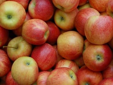 Яблоки Оптом