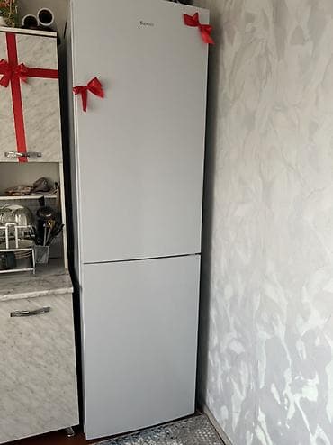 Техника жана электроника: Муздаткыч Biryusa, Эки камералуу — 2