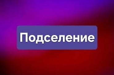 сдается с подселением: Ищу девушку на подселение. Чистоплотную платежеспособную, аккуратную — 1