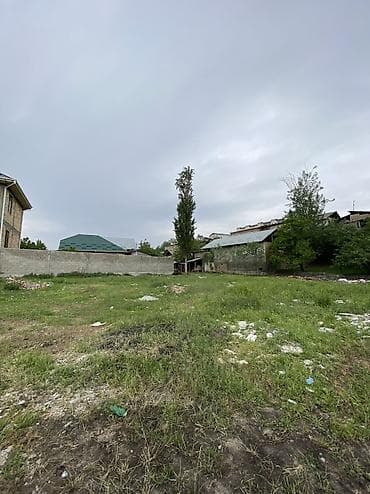 4 соток, Для бизнеса, Договор дарения