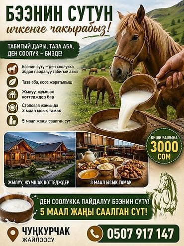 большую юрту: Кымызный сезон в Чункурчаке! Предлагаем оздоровительный отдых с — 1