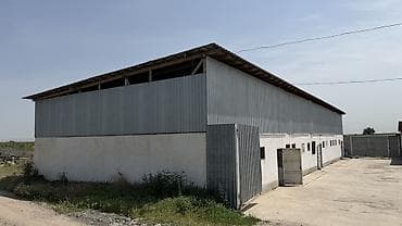с хранения: Кошара, 60 соток — 3