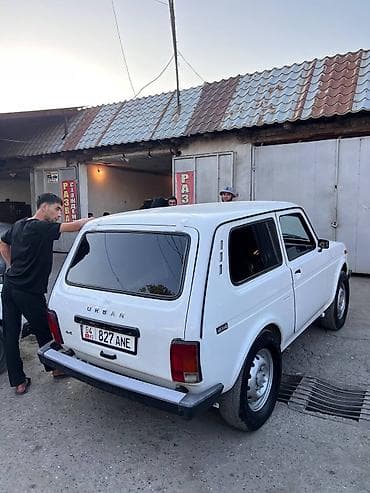 mini kooper: ВАЗ (ЛАДА) 4x4 Нива: 2008 г., 1.7 л, Ручные, Бензин — 9