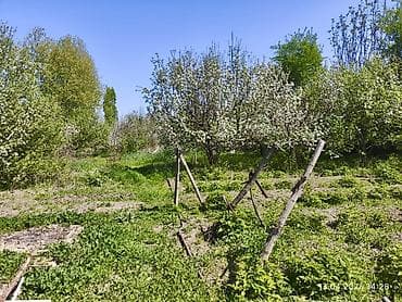 село кожомкул: Продаётся дом в с. Военно-Антоновка (Кожомкул), ул. Ала-Арчинская — 10