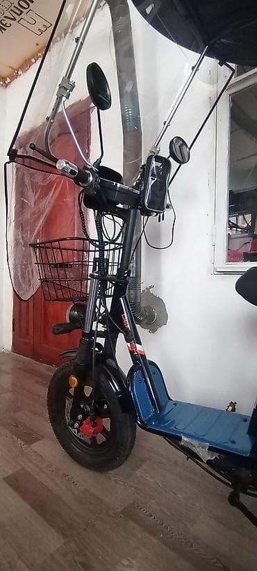 CD, DVD диски: Электровелосипед — 5