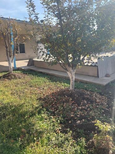 дом куплю кара балта: Дом, 75 м², 4 комнаты, Собственник — 4