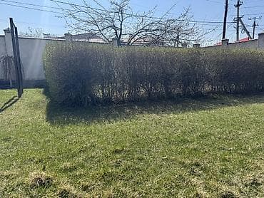 Уголь: Декор для дома и сада, Декоративный забор, Самовывоз — 1