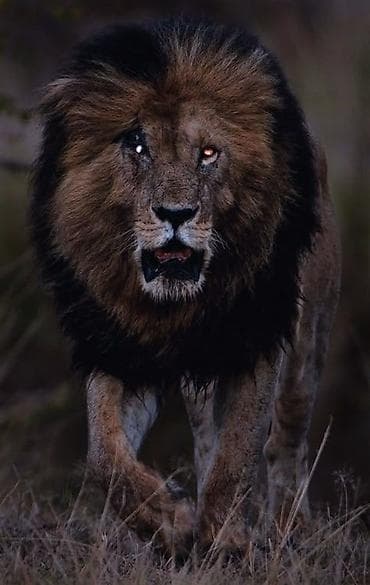 плазма шар: Делаю авы для игр и т.д - Изображение 1: монументальная металлическая — 2