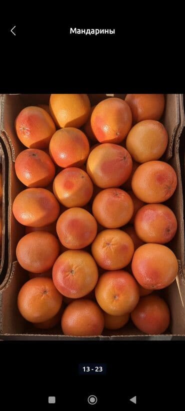 семена тюльпана: Мандарины Оптом — 10