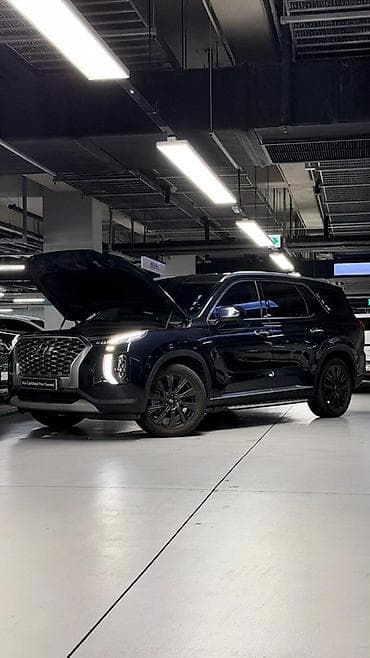 kia palisad: Hyundai Palisade: 2019 г., 2.2 л, Автомат, Дизель, Кроссовер — 6