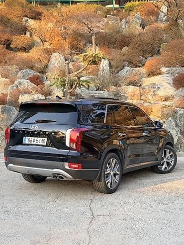 tsunami 100: Hyundai Palisade: 2019 г., 2.2 л, Автомат, Дизель, Кроссовер — 6