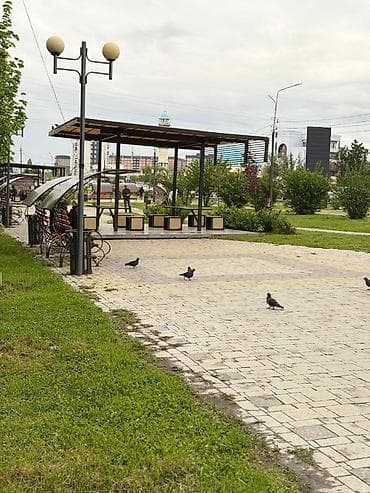 Квартиры: 1 комната, С мебелью полностью — 8