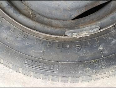 шины 14 195: 175/80/14 шина с диском — 3