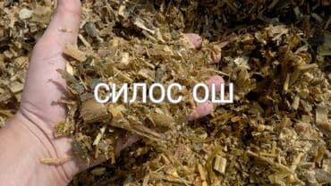 отходы для животных: Силос ОШ — питательный грубый корм для КРС, МРС и свиноводства — 1