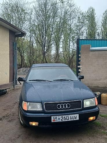 Audi 100: 1992 г., 2.3 л, Механика, Бензин, Седан