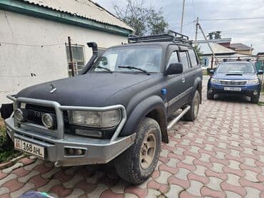 crv 1: Snow Leopard Hostel - ждём своих старых и новых гостей. Все номера — 2