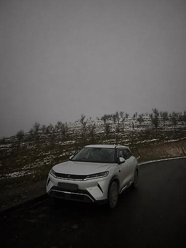 byd yuan pro: BYD Yuan Up: 2024 г., Электромобиль, Кроссовер — 1