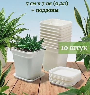 Горшки для растений: Комнатные растения для очищения воздуха в помещении и уюта — 6