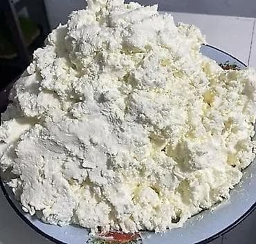 шкаф металлический бу: Сузмо только оптом заказга Алайдыкы — 1