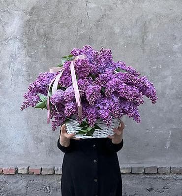 отдам в добрые руки бишкек: Продажа большая корзина калированных сиреней доставка по городу — 2