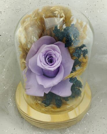 метровые розы бишкек: Живые розы которые не завянут даже через год!!! Бишкек (Вазы от 1400 — 8