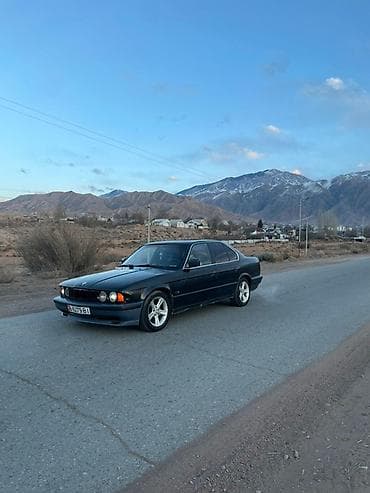 гофра е34: BMW 5 series: 1990 г., 2 л, Седан — 5