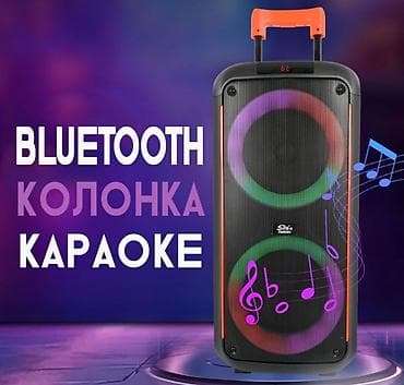 Портативная Bluetooth караоке колонка ZQS8263 Купить в Бишкеке —