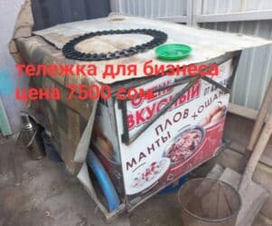 наушники с костной проводимостью бишкек: Тележка для бизнеса обшита ламинированной фанерой колеса камерные — 12