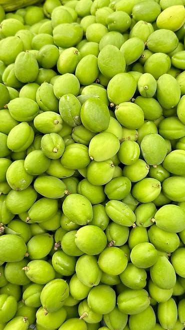 алма ысык кол: Продается Свежые Баткенский Горо (Быша элек орук) каждый день — 1