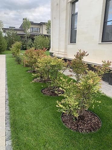 стружка опилки: Мульча Кара для оформления сада клумб, ФРАКЦИЯ 3-5 5_10 до см. мешок — 3