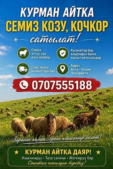 сколько стоит мясо кролика: Продаю | Баран (самец) | На забой — 1