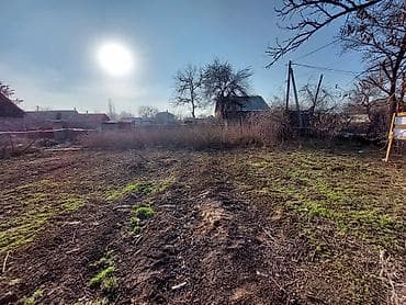 арча бешик 1: 5 соток, Курулуш, Кызыл китеп — 8