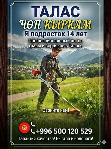 ремонт мебели сокулук: Аймактарды жыйнап тазалоо, Газон чабуу — 1