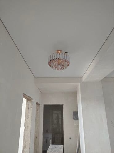 фикус большой: Натяжной потолок Глянцевое, Матовое, 3D потолки Гарантия, Бесплатная консультация, Бесплатный замер — 19