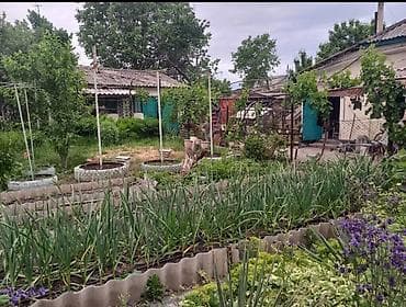 flat in osh: Продается жилой дом по адресу: г. Кара-Балта, ул. Спортивная, 71 — 5