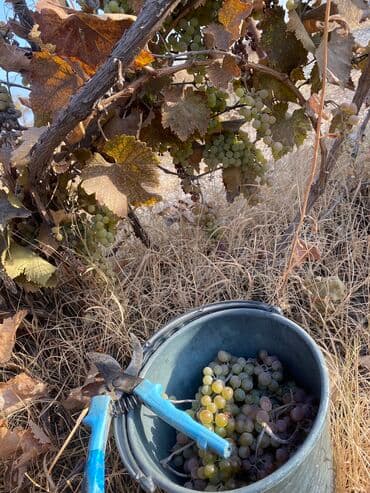 продажа домов шопоков: Дача, 55 м², 5 комнат, Старый ремонт — 19