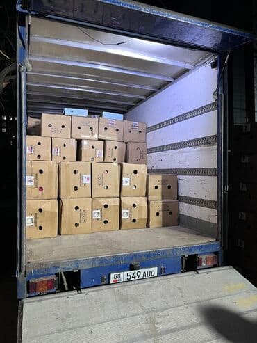 какие машины входят в комфорт яндекс такси в бишкеке: Бус, Переезд, перевозка мебели, По городу, с грузчиком — 1