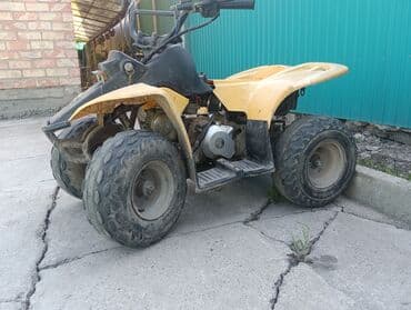 купить мини мотоцикл для детей на бензине: Квадроцикл Бензин, 130 куб. см, Детский — 2