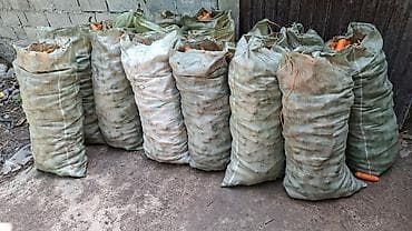 алма яблока: Морковь В розницу, Самовывоз — 3