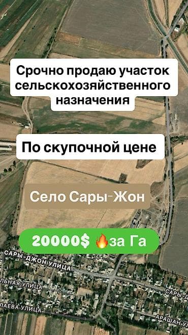 20000 соток
