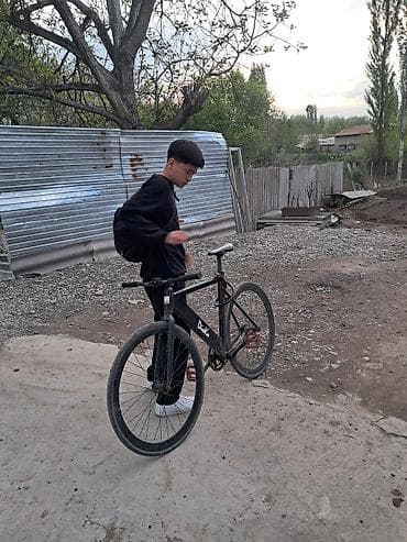 сколько стоит фикс цунами в бишкеке: Городской велосипед, Рама M (156 - 178 см) — 3