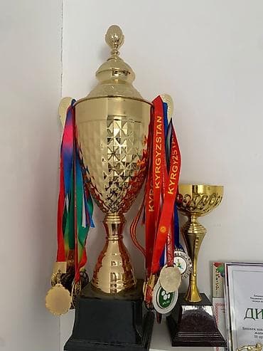 вешалка для медалей: Крупный декоративный кубок - Материал: металл под золото, фактурная — 1