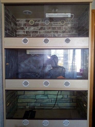 на железных номерах: Стеллаж для рептилий изготовление под заказ стеллажи для рептилий — 3